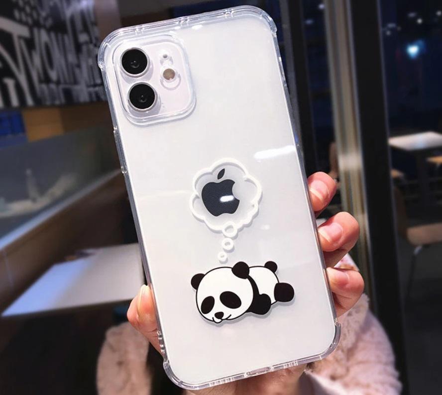 CASE PANDITA